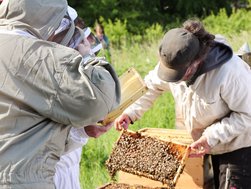 Rehabilitanden bestaunen die vielen Bienen (© AMEOS Einrichtungen Ratzeburg)